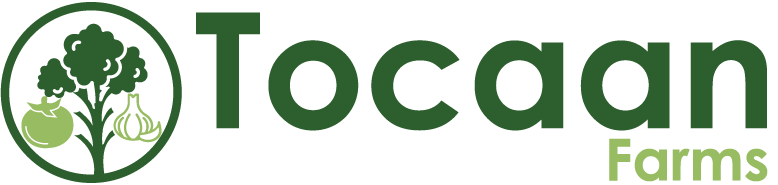 Tocaan Farms Limited
