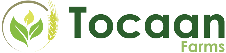 Tocaan Farms Limited